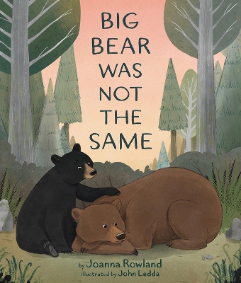 Big Bear Was Not the Same book