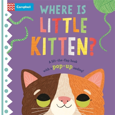 Where is Little Kitten?: The lift-the-flap book with a pop-up ending! book