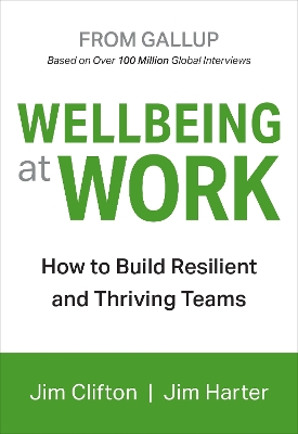 Wellbeing At Work by Jim Clifton