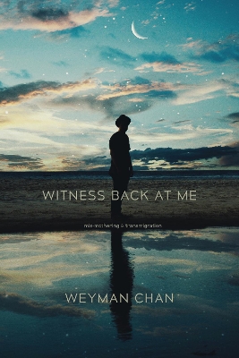 Witness Back at Me: mis-mothering & transmigration book