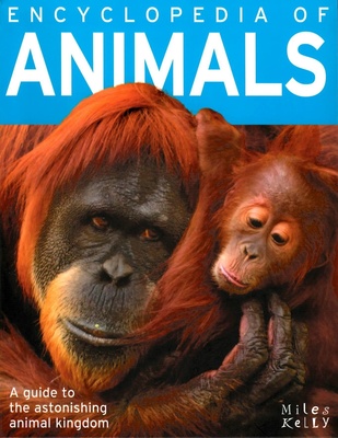 B384FL Encyclopedia of Animals book