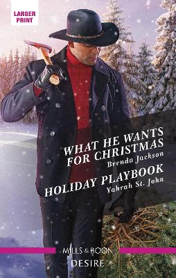 What He Wants for Christmas/Holiday Playbook book