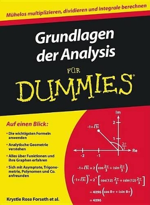 Grundlagen der Analysis für Dummies book