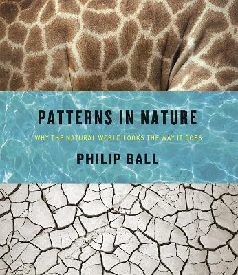 Patterns in Nature by Philip Ball
