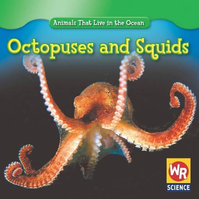 Octopuses and Squids book