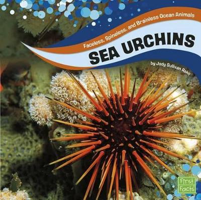 Sea Urchins by Jody S Rake