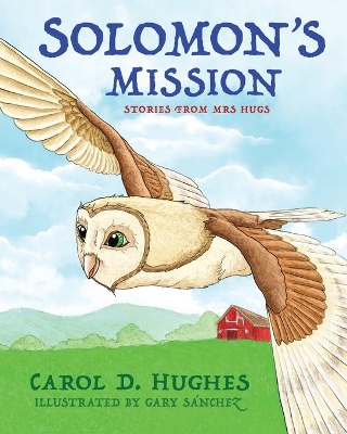 Solomon's Mission book