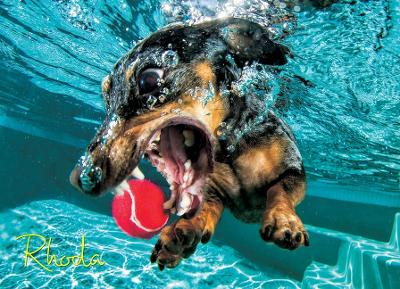 Underwater Dog: Rhoda Jigsaw book