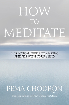 How to Meditate: A Practical Guide to Making Friends with Your Mind book