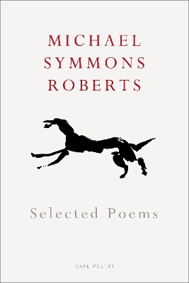 Selected Poems by Michael Symmons Roberts