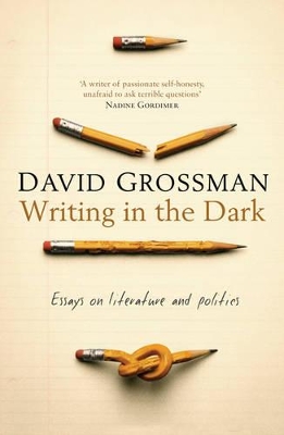 Writing in the Dark by David Grossman