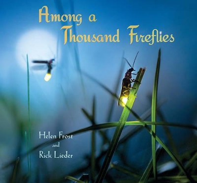 Among a Thousand Fireflies book