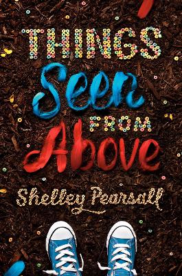 Things Seen from Above book