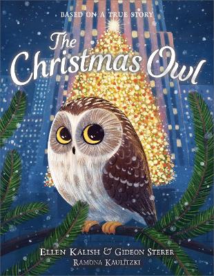 The Christmas Owl book