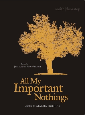All My Important Nothings book