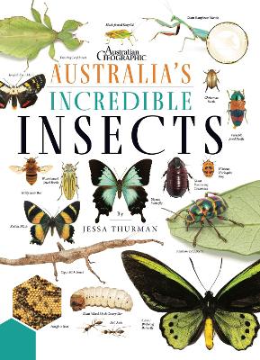 AUS Incredible Insects (HB) book