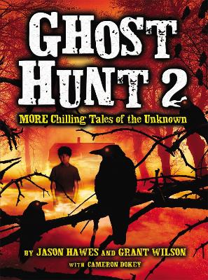 Ghost Hunt 2 book