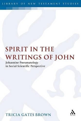 Spirit in the Writings of John book