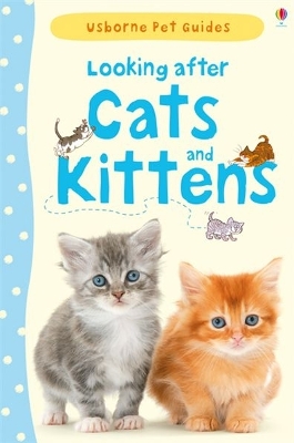 Looking After Cats and Kittens book