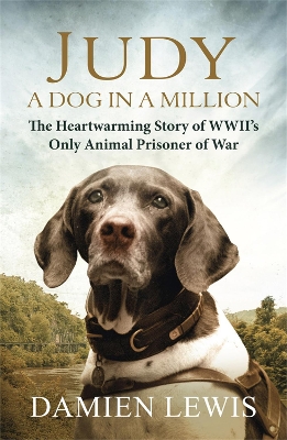 Judy: A Dog in a Million: The Heartwarming Story of WWII's Only Animal Prisoner of War by Damien Lewis
