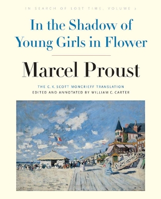 In the Shadow of Young Girls in Flower book