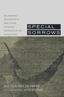 Special Sorrows book