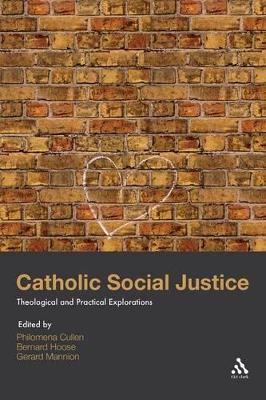 Catholic Social Justice book