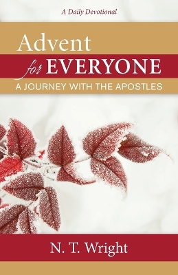 Advent for Everyone book