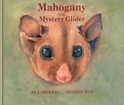 Mahogany the Mystery Glider book