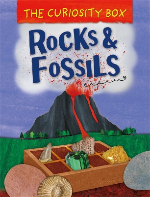 The The Curiosity Box: Rocks and Fossils by Peter Riley