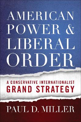 American Power and Liberal Order book