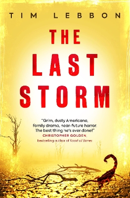 The Last Storm book