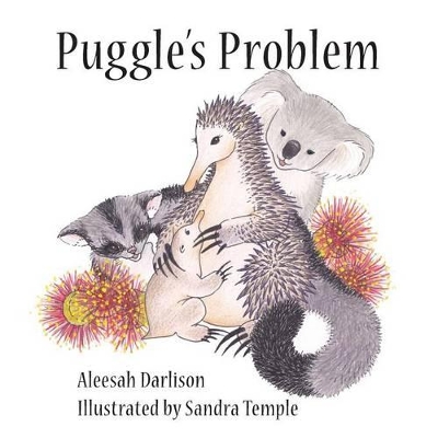 Puggle's Problem book