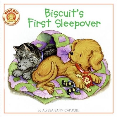 Biscuit's First Sleepover book