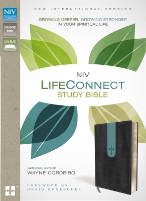 NIV, LifeConnect Study Bible, Leathersoft, Gray/Blue, Red Letter Edition: Growing Deeper, Growing Stronger in Your Spiritual Life by Wayne Cordeiro