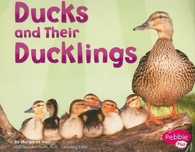 Ducks and Their Ducklings book