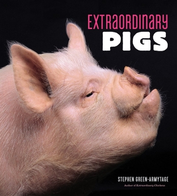 Extraordinary Pigs book