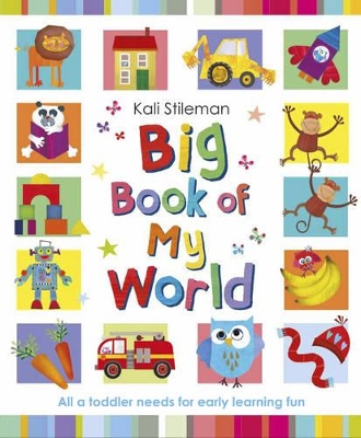 Big Book of My World book