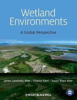 Wetland Environments book