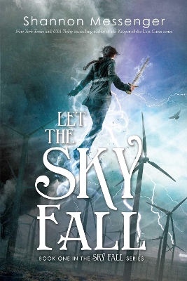 Let the Sky Fall book