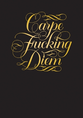 Carpe Fucking Diem Flexi Journal book