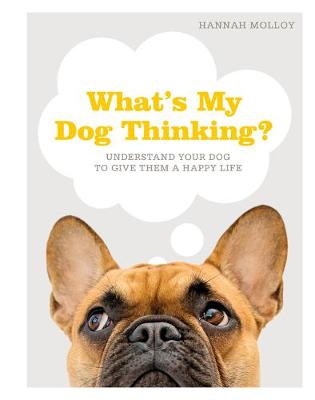 What's My Dog Thinking?: Understand Your Dog to Give Them a Happy Life by Hannah Molloy