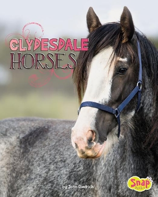 Clydesdale Horses book