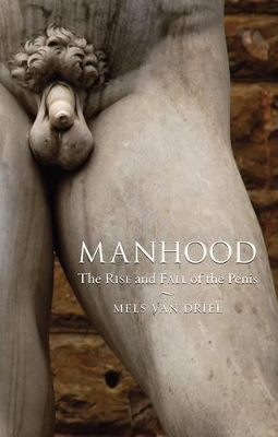 Manhood book