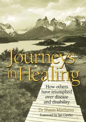 Journeys in Healing book