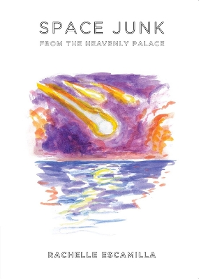 Space Junk from the Heavenly Palace book