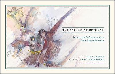 Peregrine Returns book