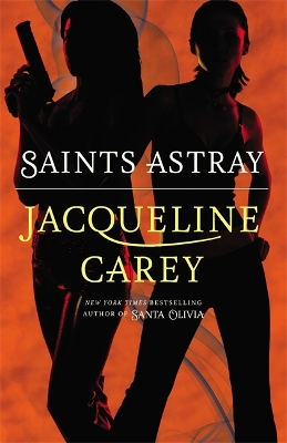 Saints Astray book