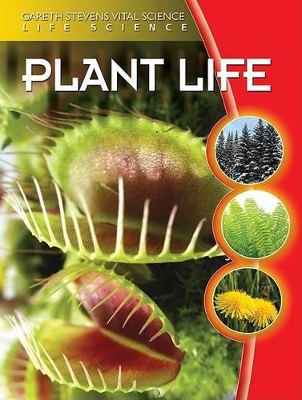 Plant Life by Jean F Blashfield