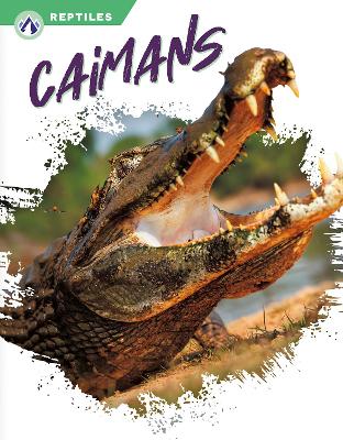 Reptiles: Caimans book